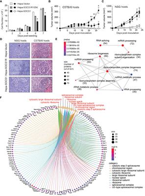 SOCS1 expression in cancer cells: potential roles in promoting antitumor immunity